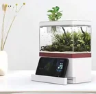 Mini Fish ZAOHETIAN 2021 Hot Sale Modern Desktop Mini Fish Farming Tank