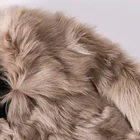 Coat Italian Import 2021 Wholesales Fur And Leather Real Fur Warm Winter Coat Can Custom Teddy Set