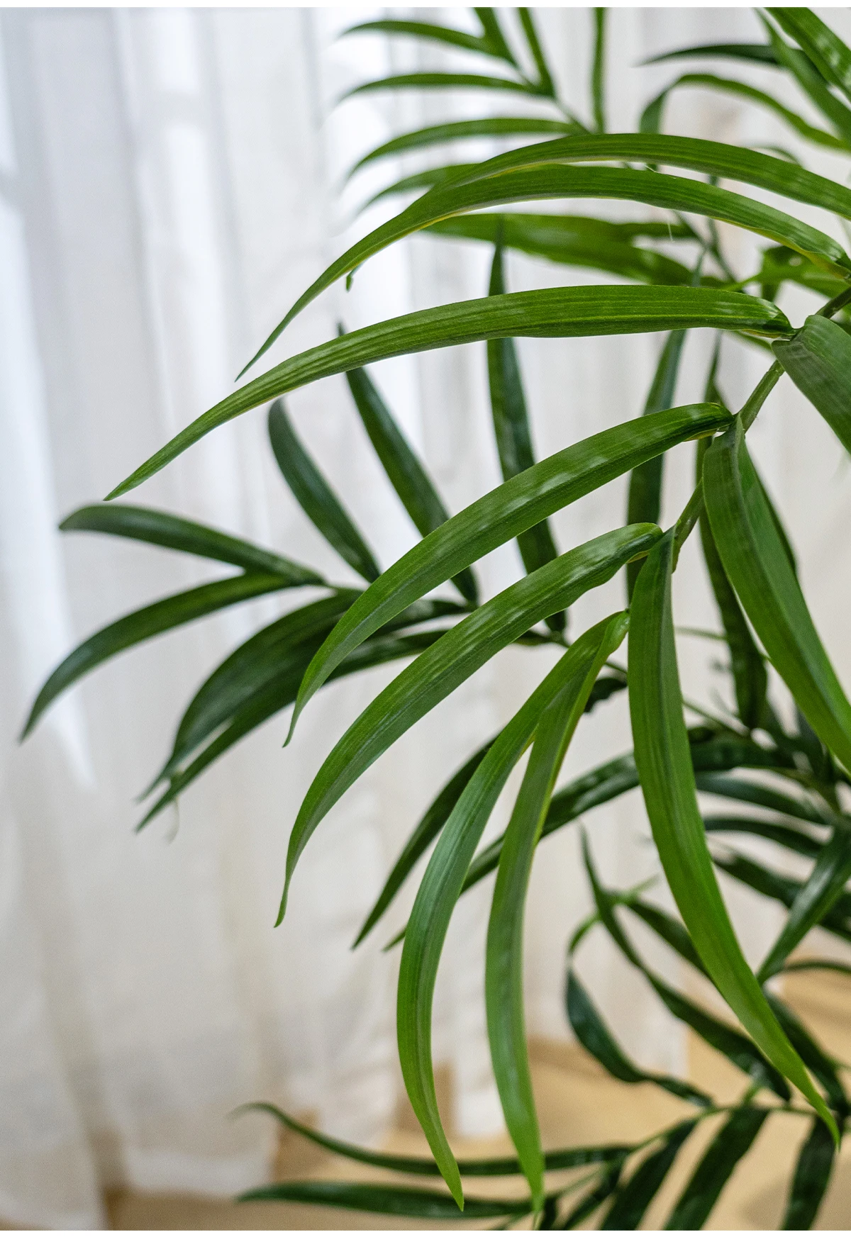 Greenery Simulated Fishtail Palm Artificial Indoor/Outdoor PE Plastic Home Decor with Branch Pot for Living Room Decorations supplier