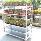 Container Plant Container Load Flower Auction Plant Nursery Rack Trolley