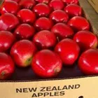 Apples Selling 100% Natural Big Red Fresh New Zealand Apples