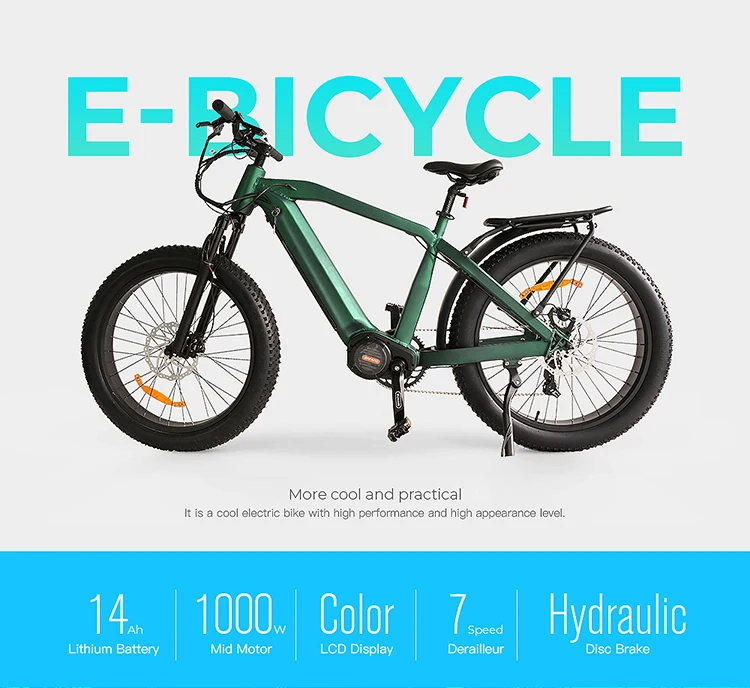 electric bike