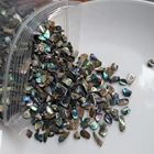 Abalone XUNBEI Natural Crushed Abalone Shell Mother Of Pearl Shell DIY Abalone Shell Pieces
