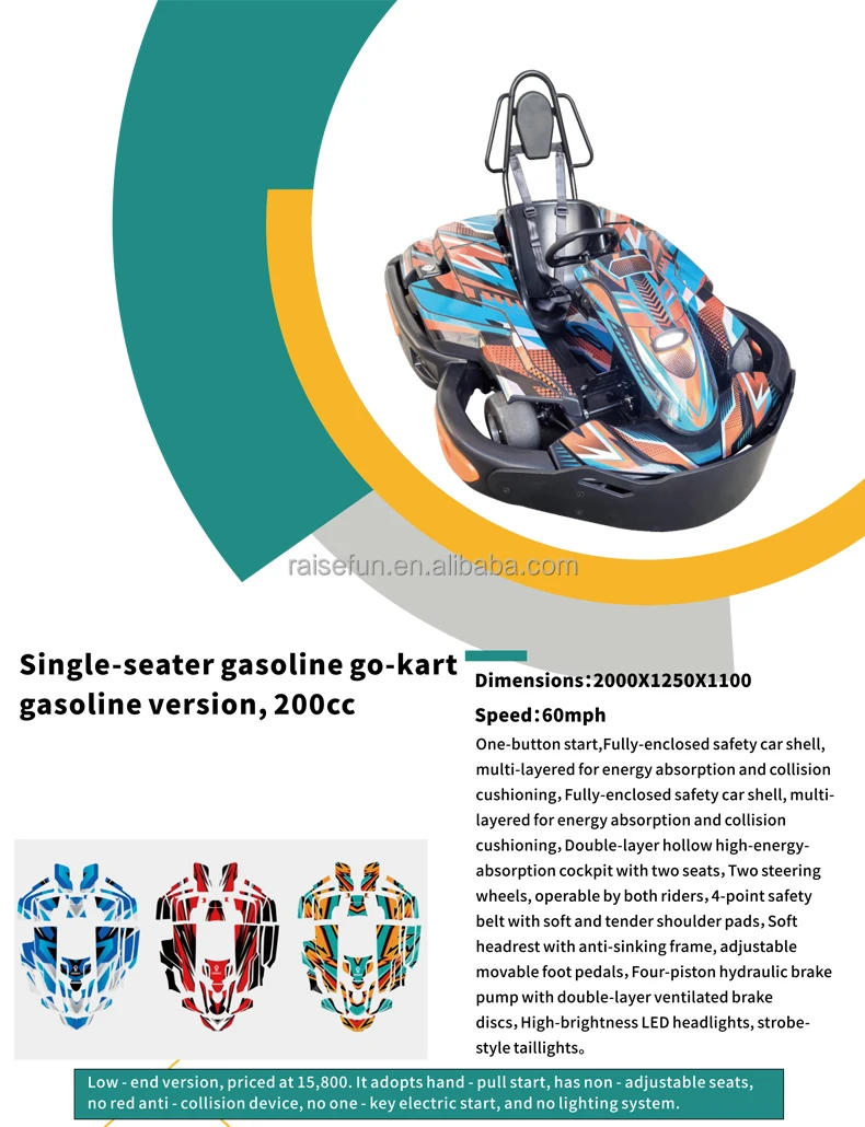 product raisefun adult single seater gasoline go kart 200cc indoor outdoor sports commercial petrol karting high performance racing car-0