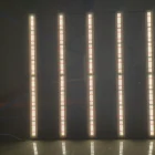 Light Best Sale Grow Light Bar 3000k 4000k 500 Watt Led Grow Light For Commercial Horticulture Cultivation