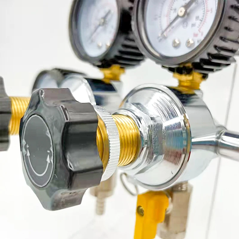 Dual-Body Economy CO2 Gas Regulator with Safety Manual Pressure Relief Valve for Beer & Other Beverages supplier