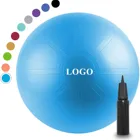 Fitness Fitness Exercise Ball Best Selling Balance Stability Fitness Anti-burst PVC Gym Fitness Ball