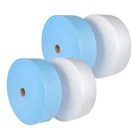 Nonwoven Fabric Rolls Spunbond Pp Nonwoven Fabric Polypropylene Spunbonded Rolls Supplier