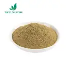 Free Samples Organic Dried Oregano Leaves Powder Producer Price