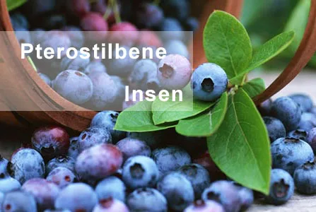 Insen Provide Bulk Anti-Oxidant Trans Pterostilbene