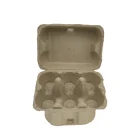 6 Holes Eco Friendly Egg Carton Biodegradable Pulp Egg Tray With Lid Recycled Egg Box