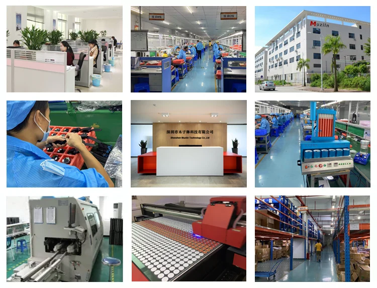 Company information