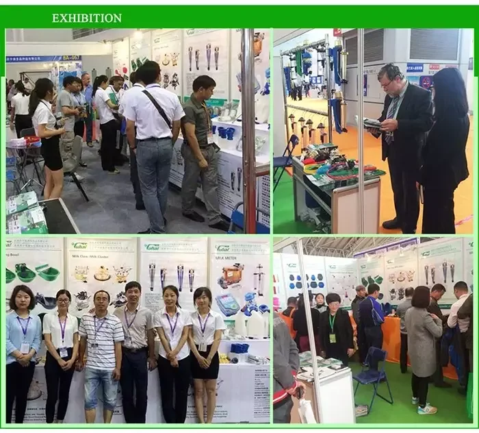 product dairy cow used super maxi size ear tag laser printed for pig identification marker customizable logo number-4