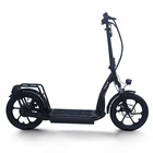 16 Inch Battery Electric Scooter Price China Very Wide Foot Pedal Electric Scooter Wholesale