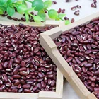 Beans Bean Canned Beans Organic Red Adzuki Bean