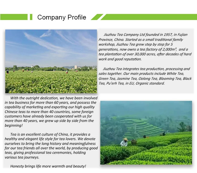 Organic China Green Tea jiang Su Bi Luo Chun Green Tea-
