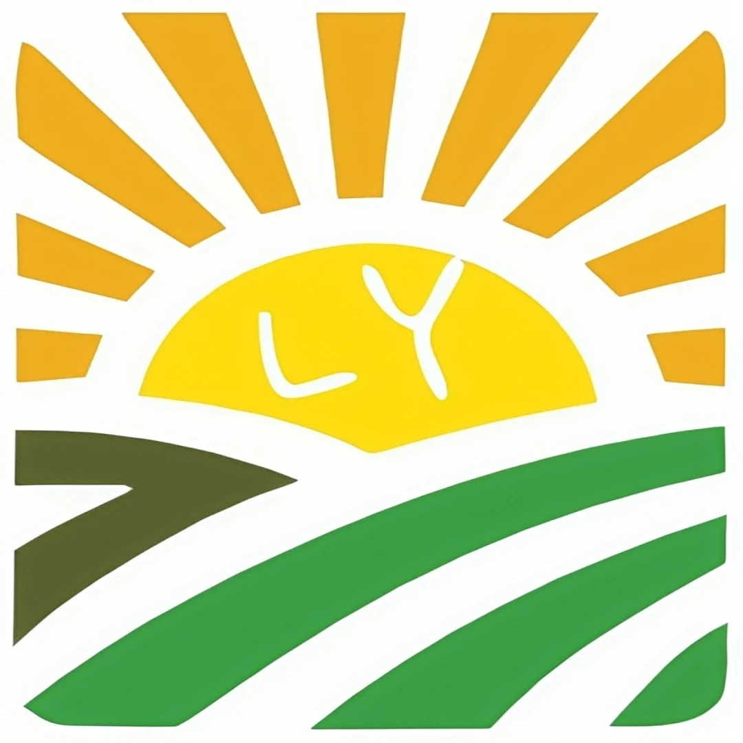 Wuhan Leyao E-Commerce Co., Ltd.