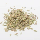 High Quality Premium 100% Natural Dehydrated Fennel Seeds