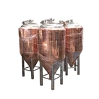 200l 200L Microbrewery Equipment Mash Tun 200L Brew Kettle Homebrew