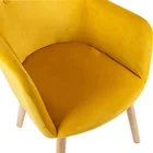 Furniture Living Room Furniture Armchair Beech Wood Legs Luxury Leisure Chair