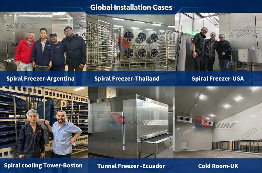 Iqf Spiral Freeze Freezer, 22kw, Stainless Steel - detail 14