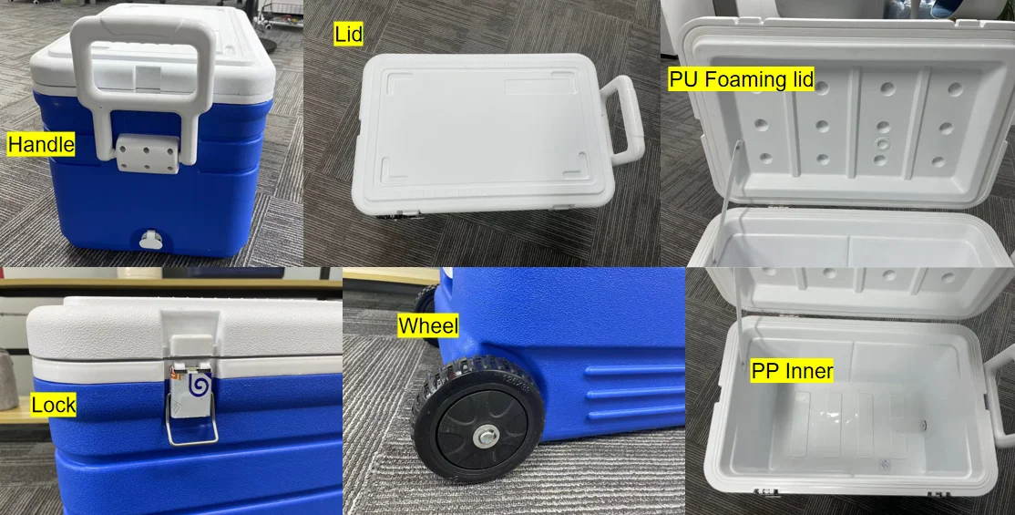 Lightweight 5/13L Drinks Food Cooler Box Ice Bucke... - Grandado - View #7