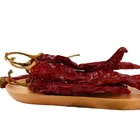 Dry Chili With Dry Red Hot Chili Pepper Bulk Wholesale With Best Price