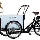 Electric Family Electric Cargo Bike Electric 3 Wheel Electric Cargo With 250W Bike Used For Family 3 Wheel Bike