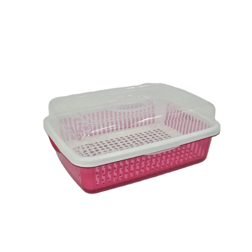 China factory wholesale kitchen utensil storage holder dinnerware drying box plastic plate dish rack with cover