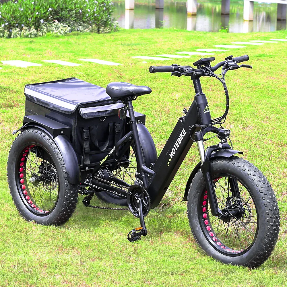 Electric Bike 250w 36v350w Rear Hub 