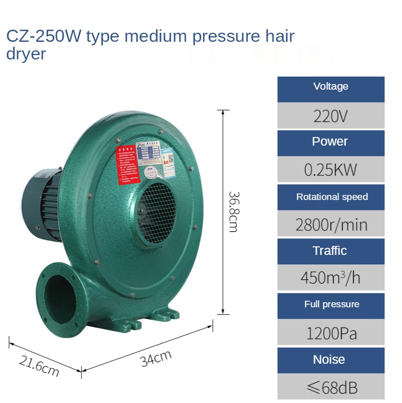 Centrifugal Blower, 220V, Cast Iron - detail 6