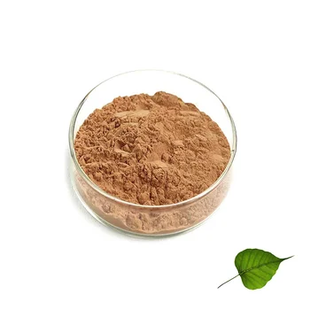 High Level Best Quality Herbal Ginkgo Biloba Extract Ginkgo Ginkgo Biloba Extract