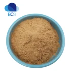 Root Natural Peru Black Maca Root 10:1 20:1 Extract Powder