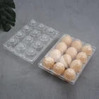 The Latest 12 Grid Medium Transparent Pet Plastic Material Egg Tray Packaging For Sale