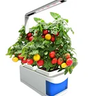 Decoration Pot Hydroponic Grow System Home Decoration Modern Mini Smart Plant Pot Indoor Herb Garden