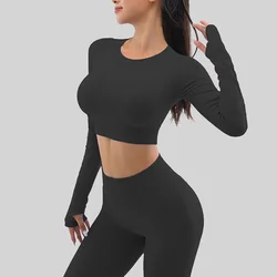 High Quality Seamless Quick Drying Activewear Wholesale Workout Long Sleeve Yoga Set For Women