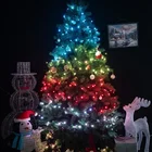 String Led Smart Rgb String Light Chain For Outdoor Use Decoration App Control Led Light