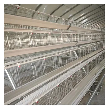 Factory Produce Galvanized Egg Layer Chicken Battery Cage For Farm Hens