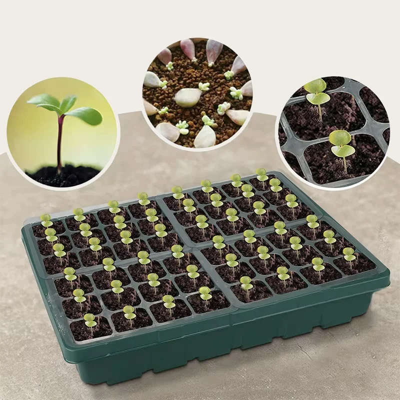 Double Function Plant Nursery Tray & Lids Sowing Propagator Kit Farm Seed Grow Pots Deep 40Cells Herb Seed Sprouting Tray