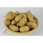 Potatos Potatoes Potatopotato Low Price Sale Potatos Fresh Potatoes Bulk Mesh Bag Potatos