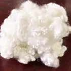 Newly Developed Polyester Staple Fiber Filled Cotton