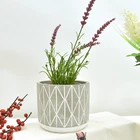 Plants Creative Style Design Cement Flower Succulent Plants Pot For Decoration