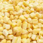 Corn IQF Frozen Sweet Corn