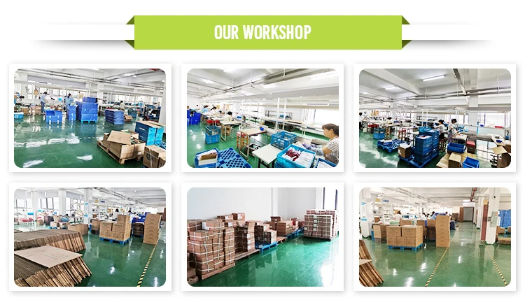 220V Input Twin Spot Emergency Light with 3-Year Warranty and 50000 Hours Lifespan