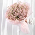 Color As Picture Popular Hot Selling Home Decoration Dried Flowers Color Romantic Gypsophila Dried Flowers