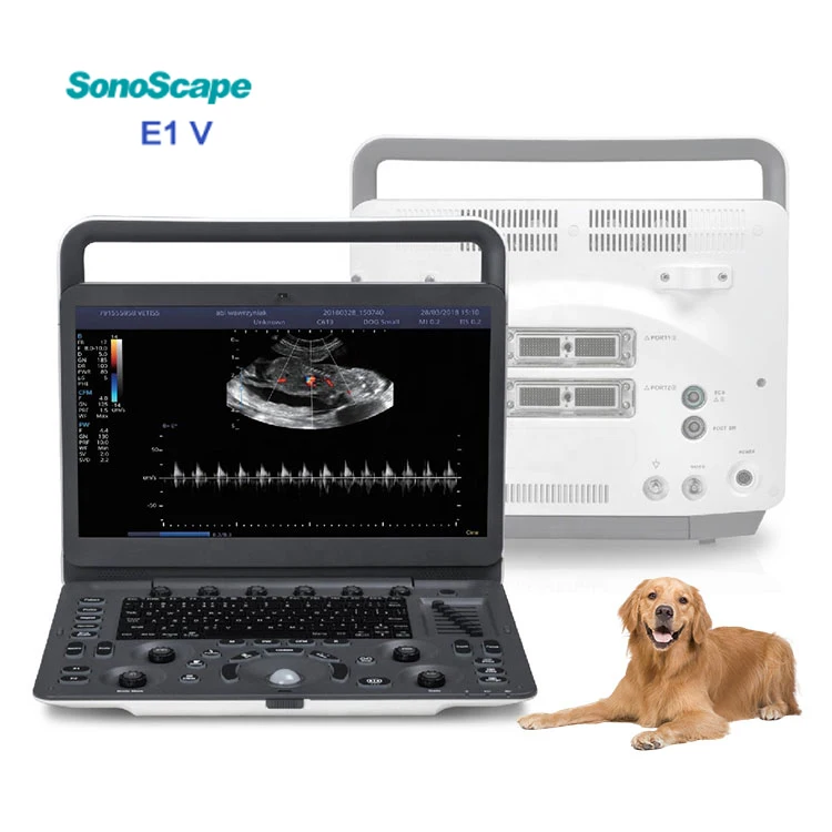 Sonoscape Veterinary Ultrasound Machine E1v For Vet Color Doppler Animal  Portable Ultrasound Machine - Buy Veterinary Ultrasound Scanner,Veterinary  Ultrasound,Sonoscape Ultrasound Product on 
