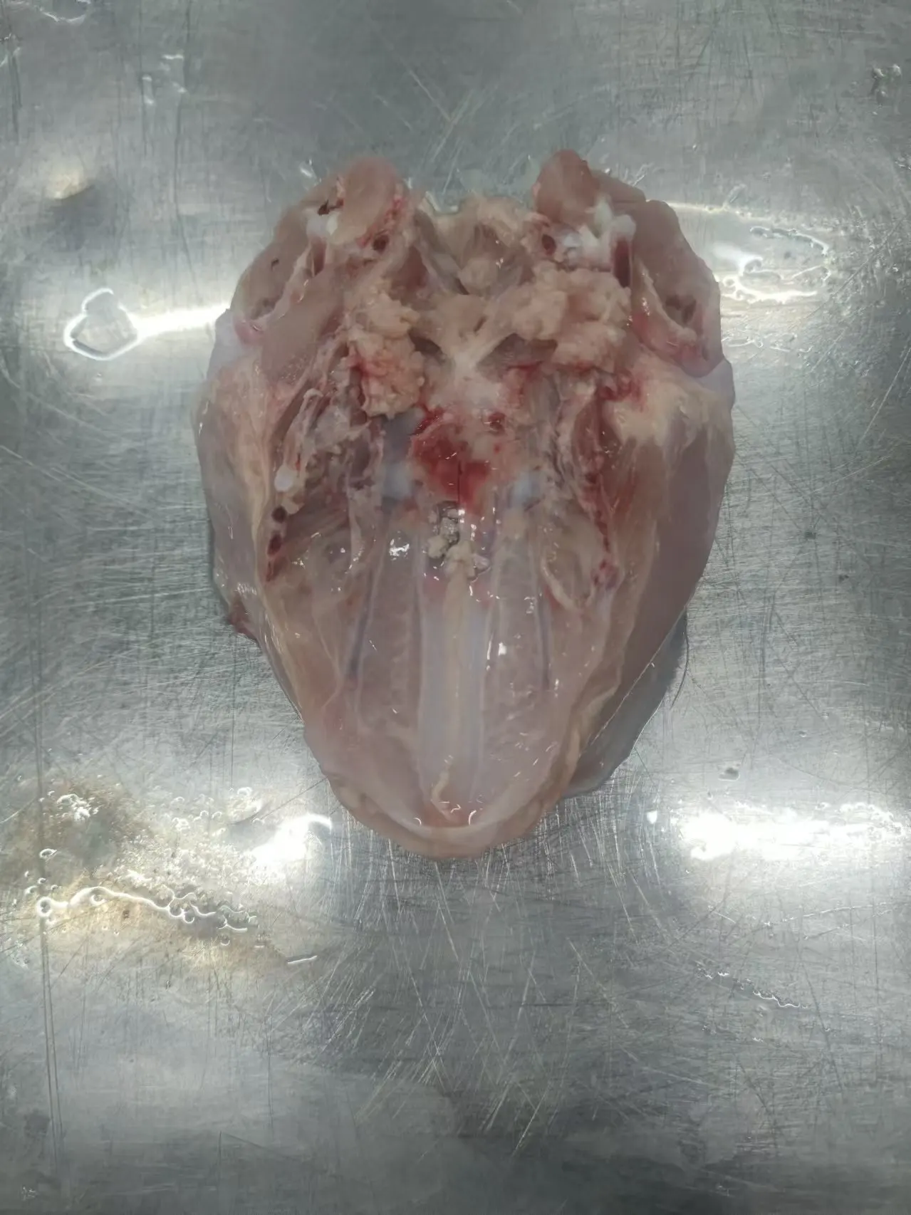 High Quality HALAL Frozen Chicken Breast Bone in Skin on manufacture