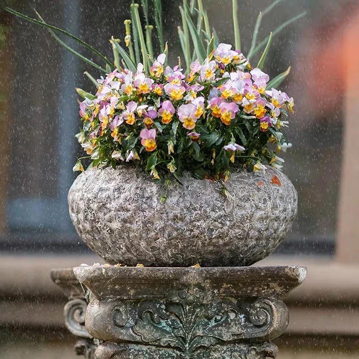 Indoor outdoor decor embossed cement pots garden balcony concrete plant flower pots