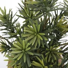 Plant Artificial Tree Plant Simulation Plant Pine Tree Wooden Tub Plant Indoor Potted New Green Artificial Plant
