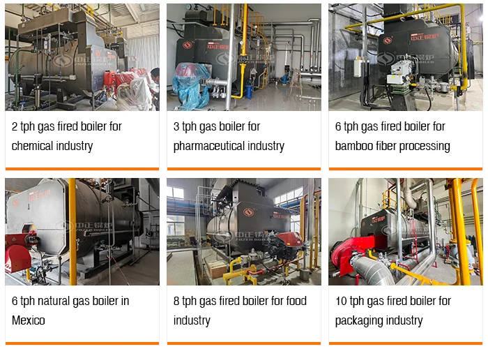 Steam Boiler, Natural Circulation - detail 8